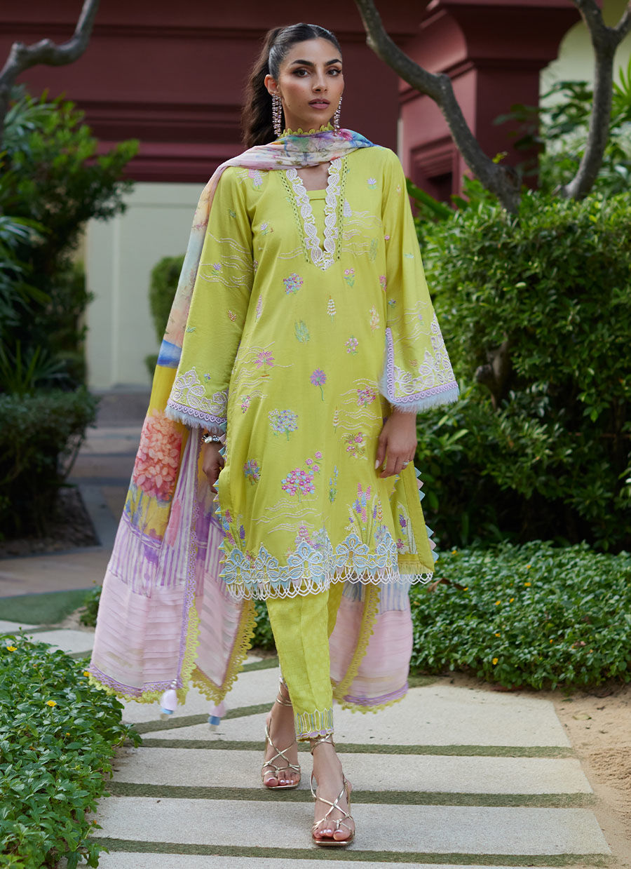 Farah Talib Aziz | Suay Lawn 24 | KELAYA KIWI