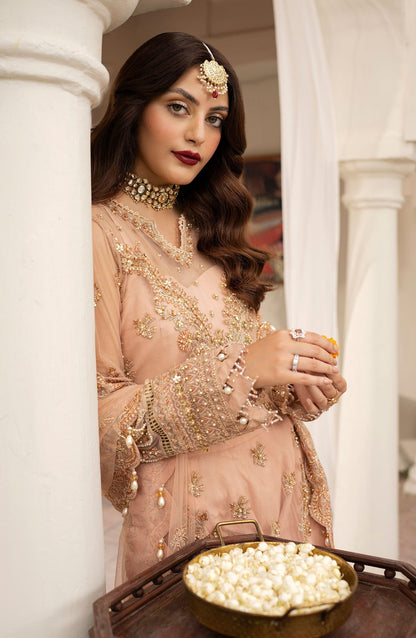 Zarin by Eleshia Embroidered Net 3Pc Suit D-02 Leena - Riwayat-e-khas