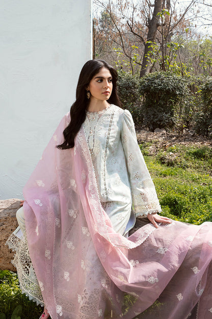 QALAMKAR QLINE-AK-12 GIZA-LAWN COLLECTION'23 - Riwayat-e-khas