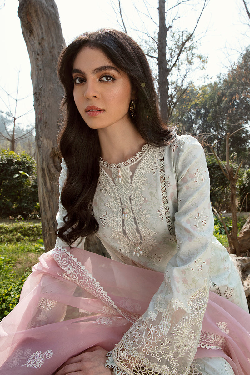 QALAMKAR QLINE-AK-12 GIZA-LAWN COLLECTION'23 - Riwayat-e-khas