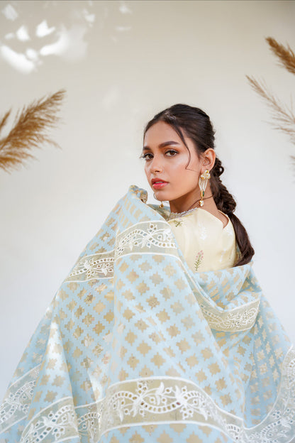 QALAMKAR QLINEKARI-RT-12 RYAN-LAWN COLLECTION'23 - Riwayat-e-khas