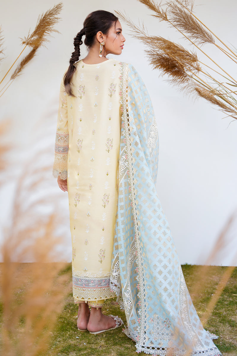 QALAMKAR QLINEKARI-RT-12 RYAN-LAWN COLLECTION'23 - Riwayat-e-khas