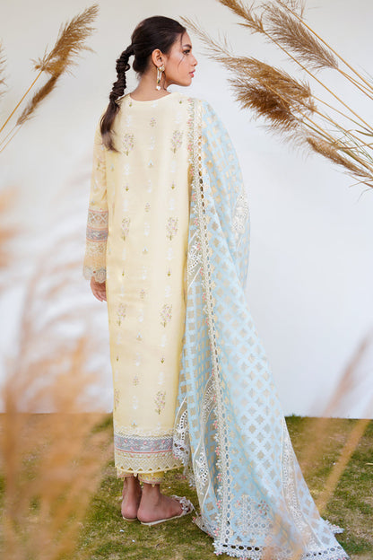 QALAMKAR QLINEKARI-RT-12 RYAN-LAWN COLLECTION'23 - Riwayat-e-khas