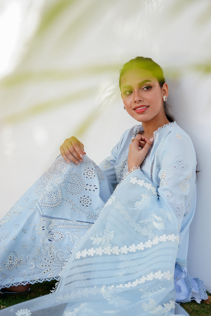 QALAMKAR QLINEKARI-RT-05 KAYA-LAWN COLLECTION'23 - Riwayat-e-khas