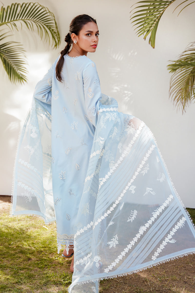 QALAMKAR QLINEKARI-RT-05 KAYA-LAWN COLLECTION'23 - Riwayat-e-khas