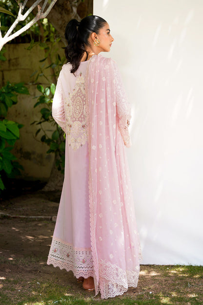 QALAMKAR QLINEKARI-RT-01 ELENA-LAWN COLLECTION'23 - Riwayat-e-khas