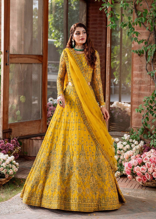 Akbar Aslam Mastani Embroidered Net 3Pc Suit - SHEHERNAZ - Riwayat-e-khas