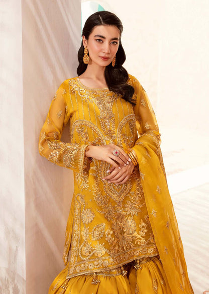 Miraal - Riwayat-e-khas