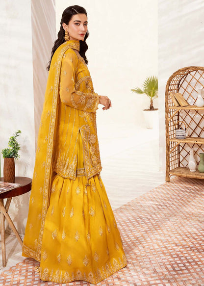 Miraal - Riwayat-e-khas