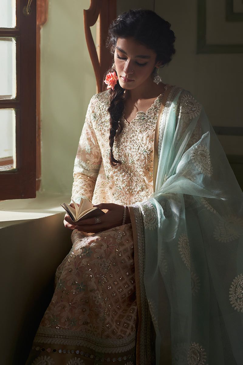 Amira - Riwayat-e-khas